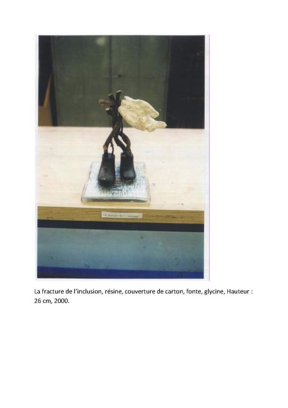 La fracture de l'inclusion