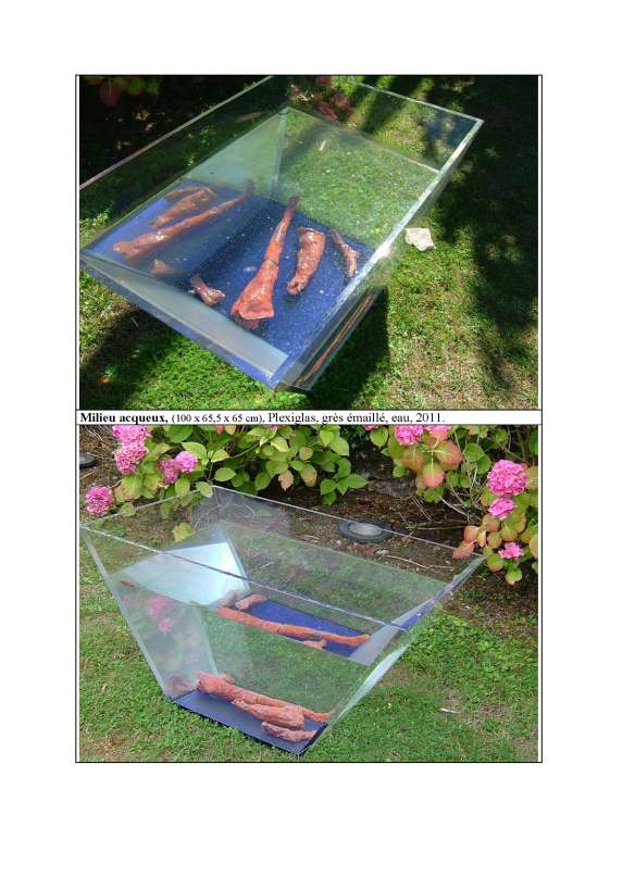 Milieu acqueux, plexiglas, grès émaillé, eau, 100 x 65.5 x 65 cm, 2011.