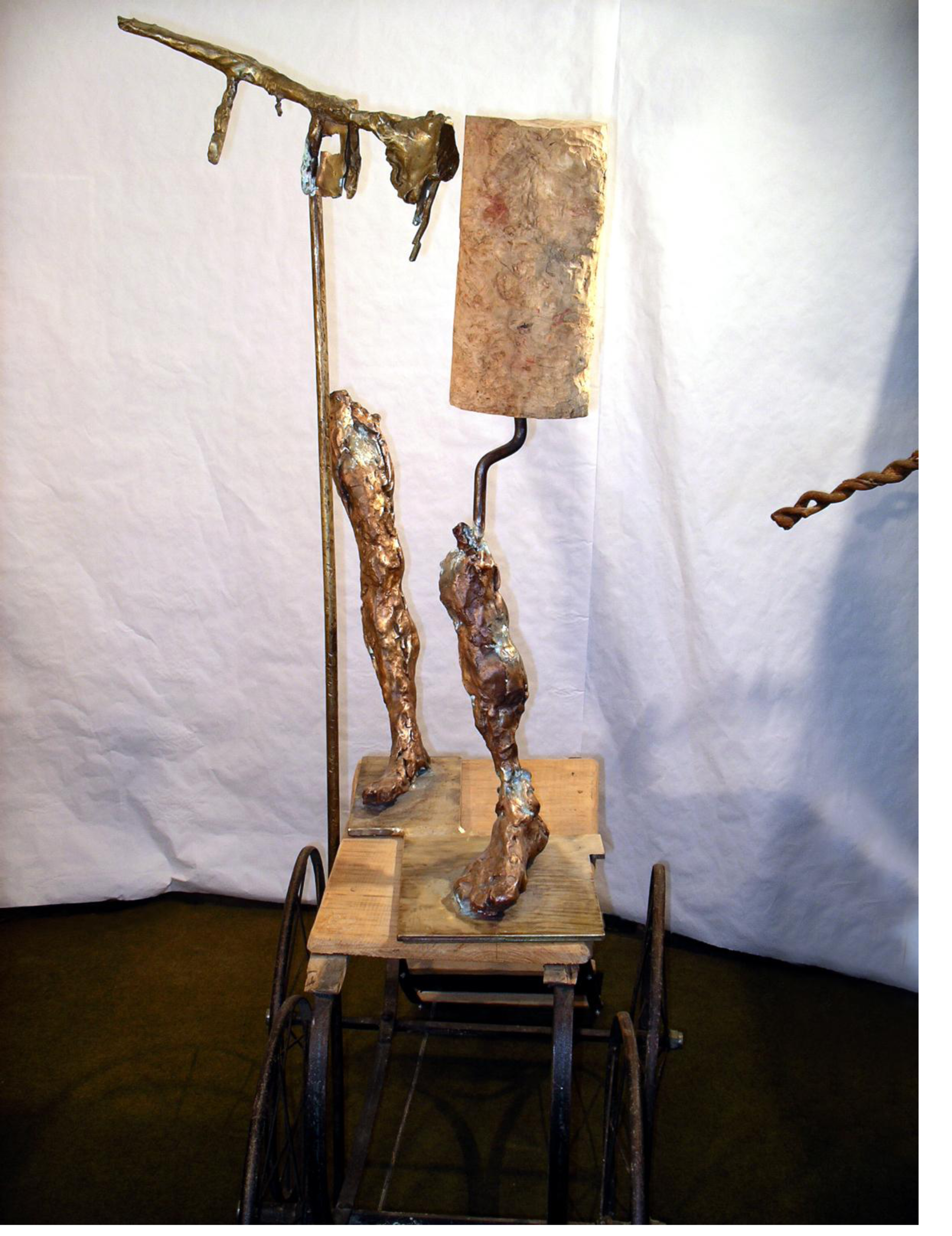 cèdre détail 1 png